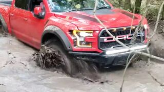 Ford Raptor Mudhole.