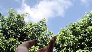 Weather 6