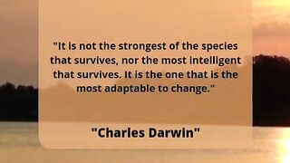Quotes motivation 2