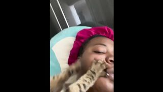 FUNNY CAT VIDEO 2023