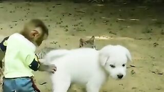 very funny 10