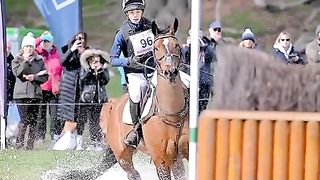 horse 2