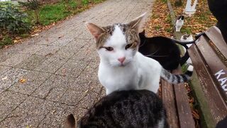 If you sit, you'll be surrounded