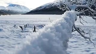 Snow fall scenery