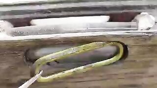 Cola vs vinegar experiment