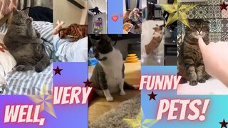 Well, Very Funny Pets!