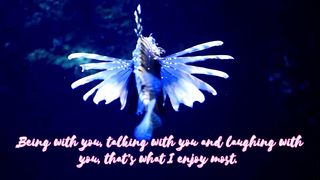 Sweet words For My Love 2