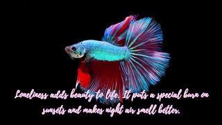 Quotes To Make Sense Of The Feeling