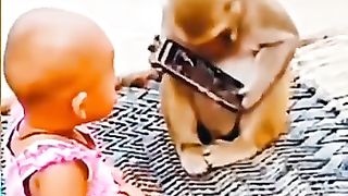 Funny animal 14