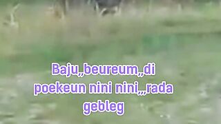 Viral lagu Sunda kocak dan lucu
