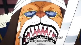 Onepiece Anime 2