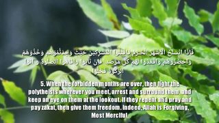 surah at-tauba verse 5 (forgiveness)