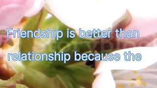 Aqwal e Zareen, Anmol word Friendship is better than relationship because the