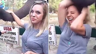Stupidity At Its Best Fails Compilation
