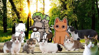Очень милые кошки и котята