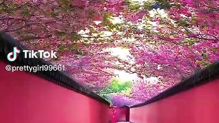 Find 'beautiful world place' on TikTok - TikTok Search.