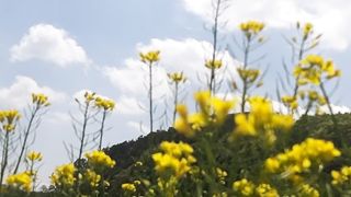 15. VERY BEAUTIFUL NATURE