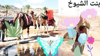 قصة وقصيدة من البادية