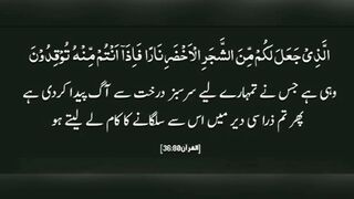 میری جَانب بھی ہو اِک نگاہِ کرم، اے شفیع الواریٰﷺ، خاتم الانبیاءﷺ 6