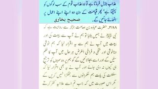 میری جَانب بھی ہو اِک نگاہِ کرم، اے شفیع الواریٰﷺ، خاتم الانبیاءﷺ 7