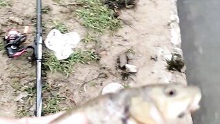 FISHING 2