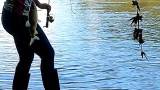 Viral Camp Adventure this River a Has a lot of Fiah