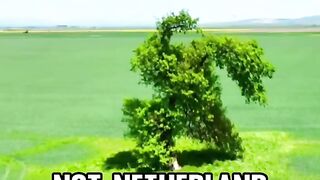 ТОВА Е БЪЛГАРИЯ