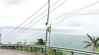 Keindahan alam geopark ciletuh