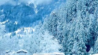 natural view | beautiful nature