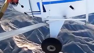 Sky and fly