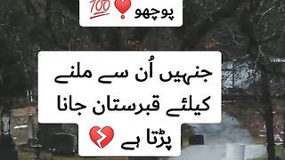 Find 'baap status انتقال' on TikTok - TikTok Search_5.