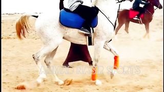 #best#yung#arabic#horse#riders#of#world#2023