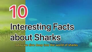 Discovering Sharks: 10 Fascinating Facts
