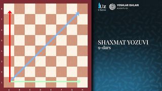 Shaxmat dars 2