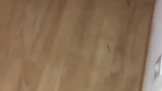 Cat random videos