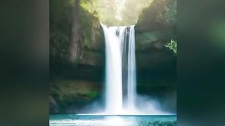 We live together with nature