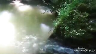 Première petite vidéo de 11 secondes????????