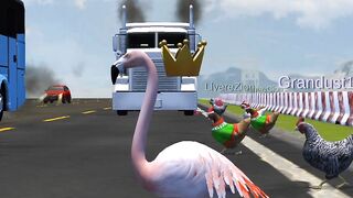 long neck bird crossing the road many vehicles passing by