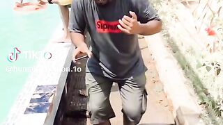 Find 'funny videos 2023' on TikTok - TikTok Search_2.