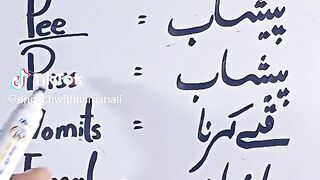 Find 'english vocabulary daily use' on TikTok - TikTok Search_4.