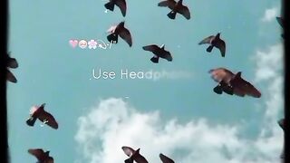 Find ' status video naat whatsapp status' on TikTok - TikTok Search_3.