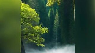 The earth is home