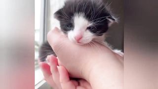 THE FUNNIEST TIK TOK MEMES Of May 2023 ???? 4