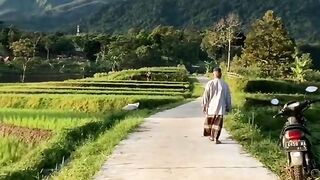 Natural scenery and gardens