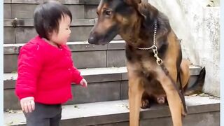 Funny Dog & Funny Kid's videos
