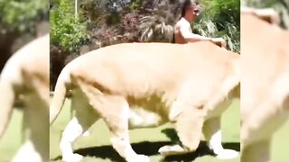 15 Scary Hybrid Animals that Actually Exist
