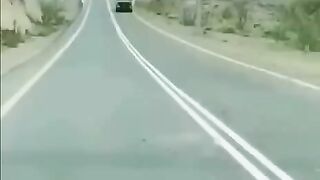Car vs donkey accident in main road