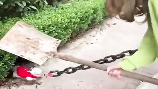 Cute dogs moments