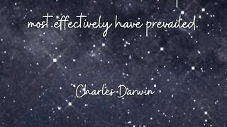 Motivational Quotes 4