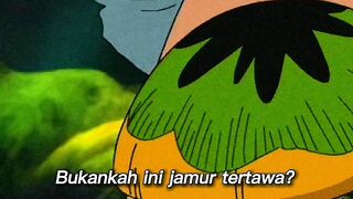 one piece 3